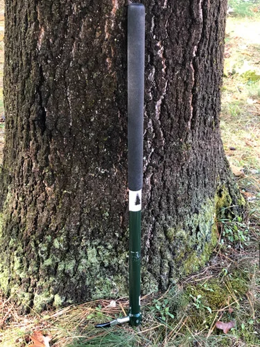 newenglandpine202606041833092763204